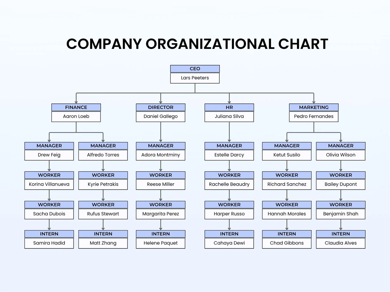 Organisational Structure
